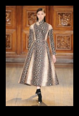 Pista pentru reptile a continuat Modalități elegante de a vă îmbrăca prietenul solz 3 Reptile Runway Continuare: Accesorii elegante pentru prietenul tău Scaley