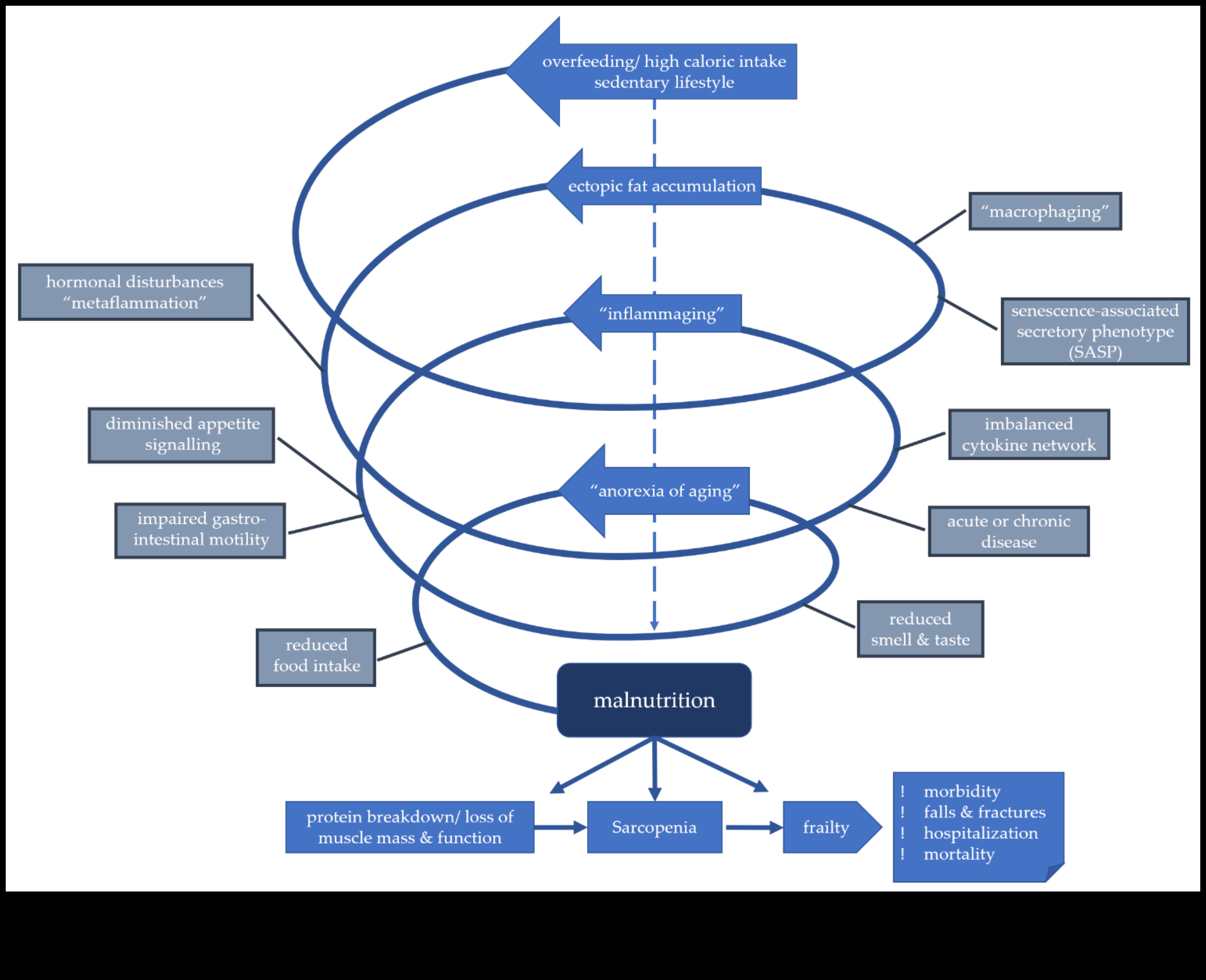 Spectrul de nutrienți O abordare echilibrată a deficienței 5 Spectrul de nutrienți: strategii pentru echilibrarea deficienței