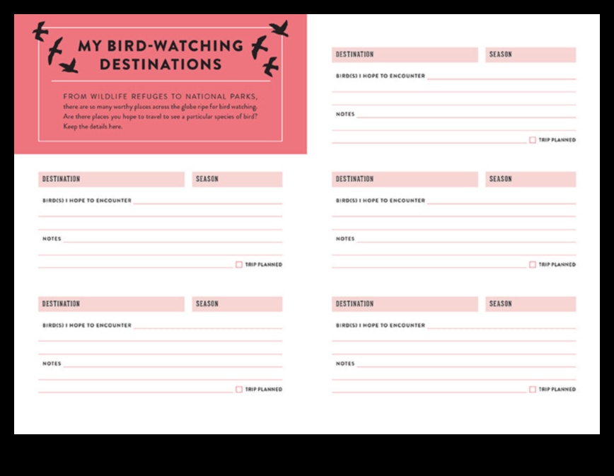 Jurnalul observatorilor de păsări: documentarea întâlnirilor cu păsări demne de remarcat