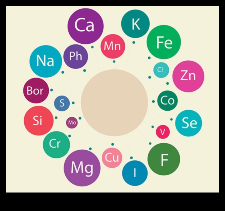 Viață bogată în nutrienți: Crește-ți starea de bine cu micronutrienți