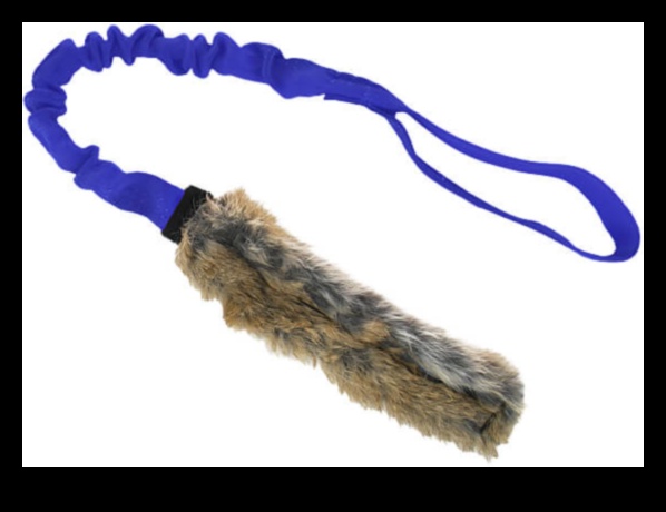 Bunny Bungee: Oferă distracție de sărituri pentru iepuri