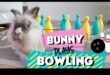 Bunny Bowling Bonanza: O întorsătură a jocurilor clasice pentru iepuri