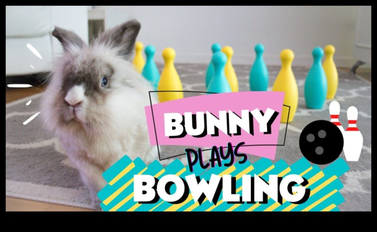 Bunny Bowling Bonanza: O întorsătură a jocurilor clasice pentru iepuri