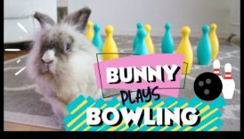 Bunny Bowling Bonanza: O întorsătură a jocurilor clasice pentru iepuri