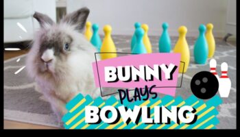 Bunny Bowling Bonanza: O întorsătură a jocurilor clasice pentru iepuri