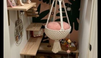 Cat Craft Corner: Proiecte creative pentru îmbogățirea felinelor