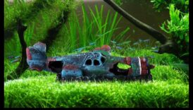 Decorarea rezervorului de pește DIY: creați medii unice pentru peștele dvs