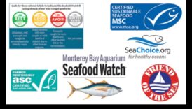 Fructe de mare durabile Continuare: certificări și etichete de căutat