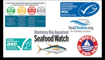 Fructe de mare durabile Continuare: certificări și etichete de căutat
