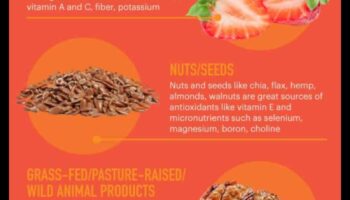 Nutrienți vitali: energizați-vă corpul cu micronutrienți