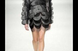 Reptile Runway Continuare: Accesorii elegante pentru prietenul tău Scaley