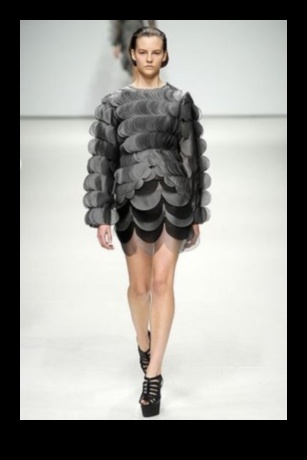 Pista pentru reptile a continuat Modalități elegante de a vă îmbrăca prietenul solz 1 Reptile Runway Continuare: Accesorii elegante pentru prietenul tău Scaley