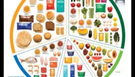 Puzzle-ul cu farfurii: potrivirea pieselor de sănătate nutrițională