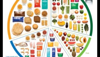 Puzzle-ul cu farfurii: potrivirea pieselor de sănătate nutrițională